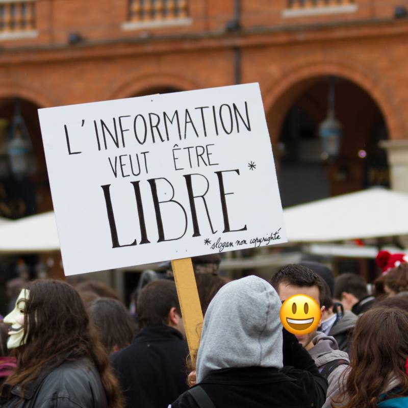 Demonstration gegen ACTA in Toulouse anti ACTA à Toulouse am 28. Januar 2012